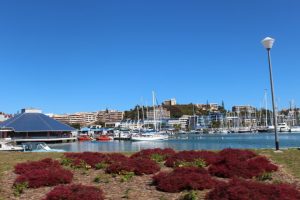 Marina with boats during a hot summer day with blue sky near the local market in Noumea