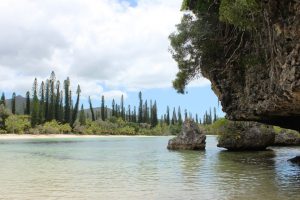 Calm and clear bay with volcanic rocks coming out of the sea and pine trees in the background