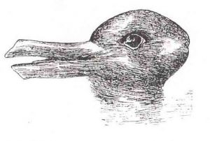 Optical Illusion in which a person may interpret as a duck or a rabbit or both.