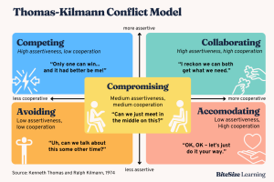 TKI Conflict Model image