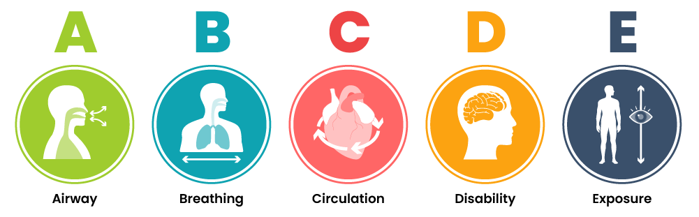 One row of coloured circles contain icons representing the ABCDE assessment. From left to right, the circles represent airway, breathing, circulation, disability, and exposure.