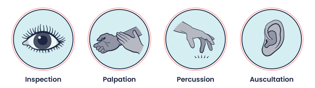 A row of four coloured circles representing the objective assessment techniques: inspection, palpitation, percussion, and auscultation. The inspection circle contains an eye, the palpitation and percussion circle contain hands, and the auscultation circle contains an ear.