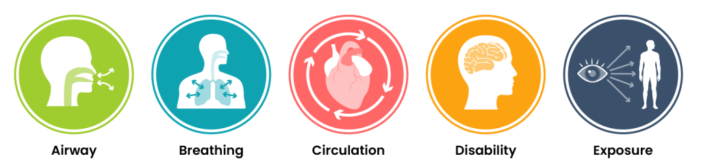 One row of icons representing the ABCDE assessment. From left to right, airway, breathing, circulation, disability, and exposure.