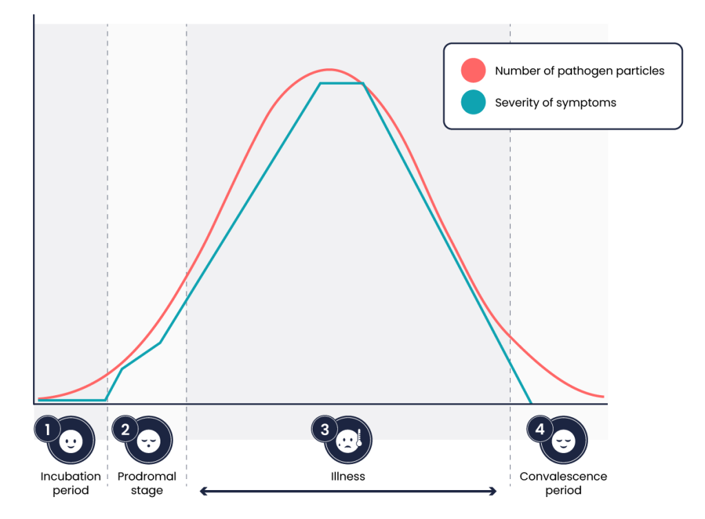 A graph representing the increase and decline of two variables: the number of pathogen particles and severity of symptoms. These variables change over the course of four stages: the incubation period, prodromal stage, illness, and convalescent period. In the incubation period and prodromal stage, the variables steadily increase. In the illness stage, the variables drastically increase and decrease before declining in the convalescent stage.