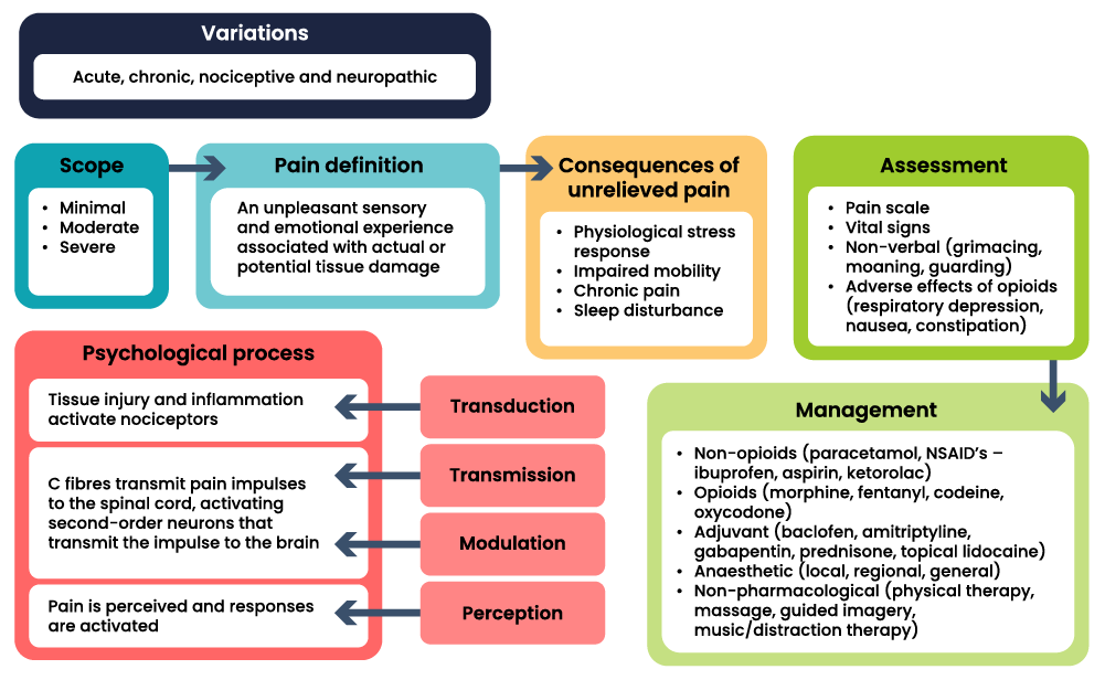 A map of pain concepts. The map contains seven boxes. The top left box contains the variations of pain: acute, chronic, nociceptive and neuropathic. A box underneath indicates the scope of pain, minimal, moderate, and severe. To the right, another box contains the pain definition: An unpleasant sensory and emotional experience associated with actual or potential tissue damage. To the right of the box containing the definition is a box titled ‘consequences of unrelieved pain’. These consequences are: Physiological stress response, impaired mobility, chronic pain, and sleep disturbance. On the far right sits the assessment box containing four points: Pain scale, vital signs, non-verbal (grimacing, moaning, guarding), and adverse effects of opioids (respiratory depression, nausea, constipation). This assessment box is connected to a box titled ‘management’. The management box contains five points: Non-opioids (paracetamol, NSAID’s – ibuprofen, aspirin, ketorolac), opioids (morphine, fentanyl, codeine, oxycodone), adjuvant (baclofen, amitriptyline, gabapentin, prednisone, topical lidocaine), anaesthetic (local, regional, general), and non-pharmacological (physical therapy, massage, guided imagery, music/distraction therapy). Finally, the lower right box is titled’ psychological process; with three key points connected to three processes. The first point, tissue injury and inflammation activate nociceptors, links to transduction. The second point is C fibres transmit pain impulses to the spinal cord, activating second-order neurons that transmit the impulse to the brain. This point is linked to transmission and modulation. The third and final point, pain is perceived and responses are activated, is linked to perception.