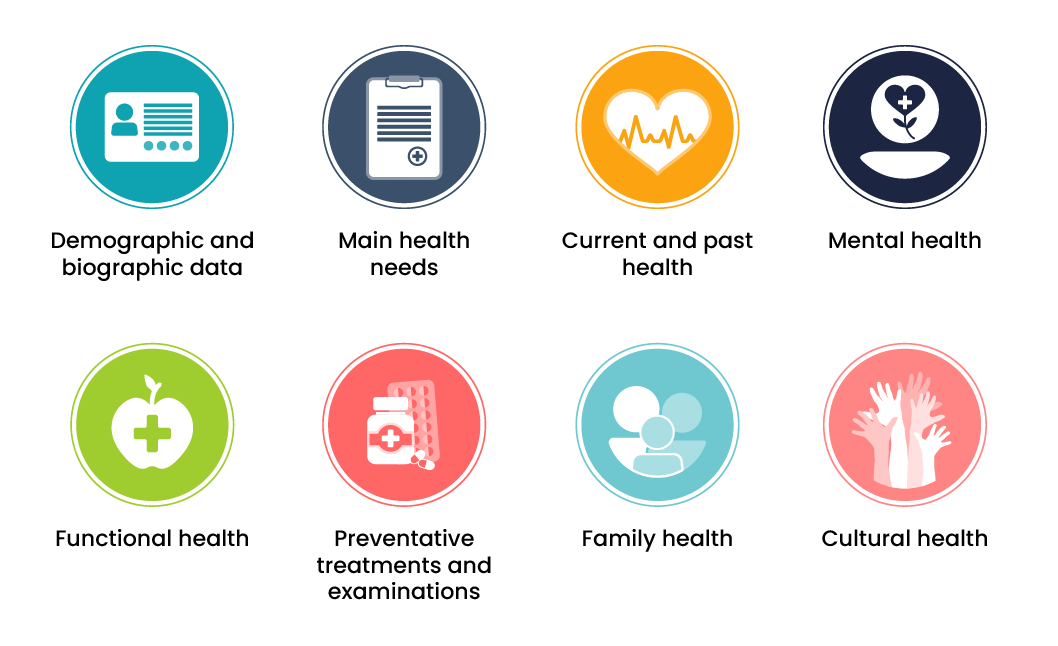 Two rows of coloured circles containing icons representing the subjective assessment categories. On the top row from left to right, the categories are: Demographic and biographic data, main health needs, current and past health, and mental health. On the bottom row from left to right, the categories are functional health, preventative treatments and examinations, family health, and cultural health.