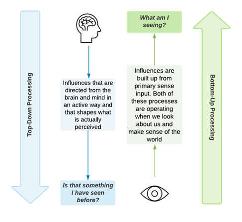 Flowchart diagram showing an example of a top-down-bottom up process