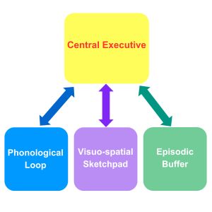 Diagram illustrating The four main elements of Baddley’s Model of Working Memory