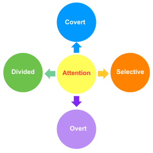Five circles with arrows illustrating Different kinds of attention