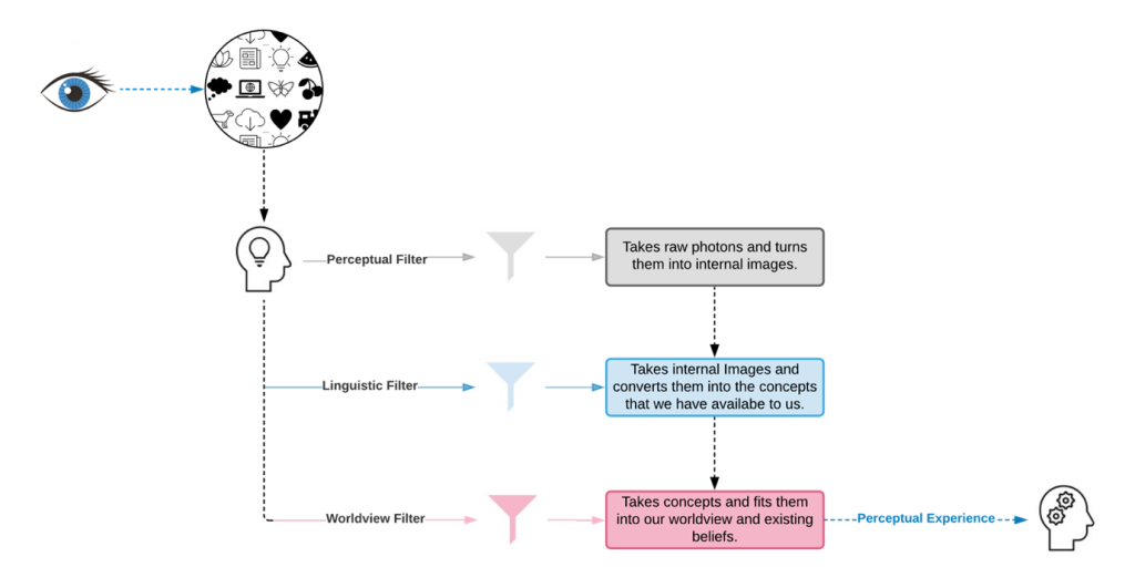 Diagram illustrating The series of processing and filtering of visual sensations before a full perception has occurred