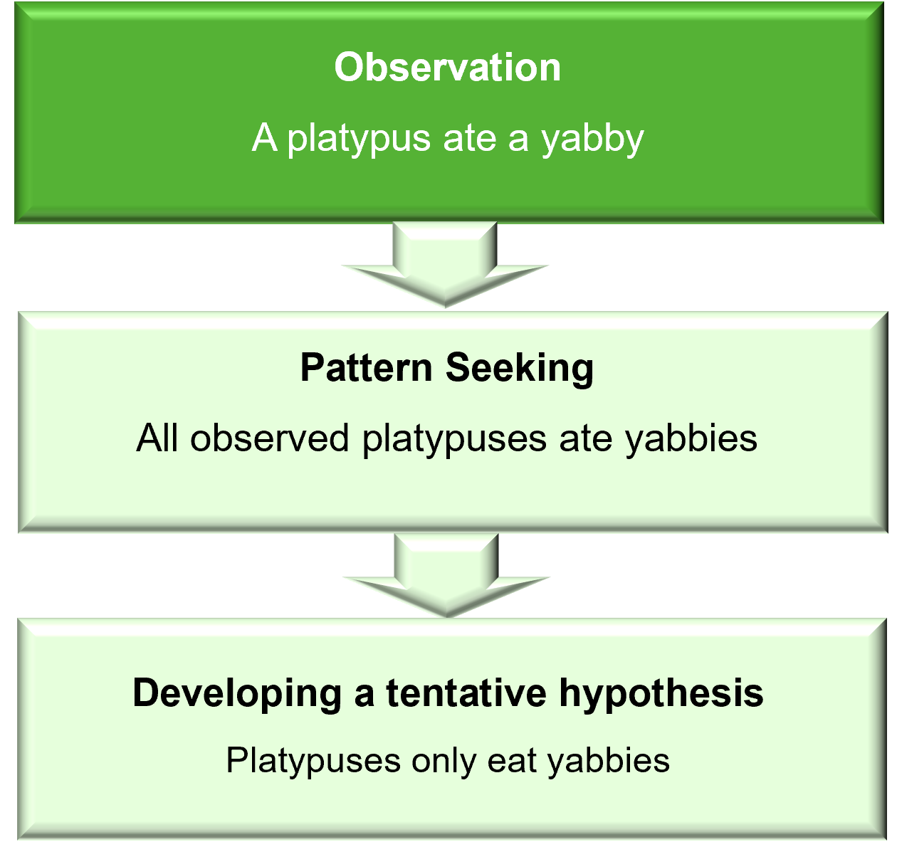 Image of inductive reasoning process from observation, to pattern seeking to developing a tentative hypothesis.
