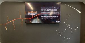 Panel 3 of the Mabo timeline interpretive wall: Digital display with hand-painted symbols by artist Bernadette Boscacci that relate to the timeline and shared cultural imagery: A shooting star, which is significant to the Bindal people, and the Tagai constellation.