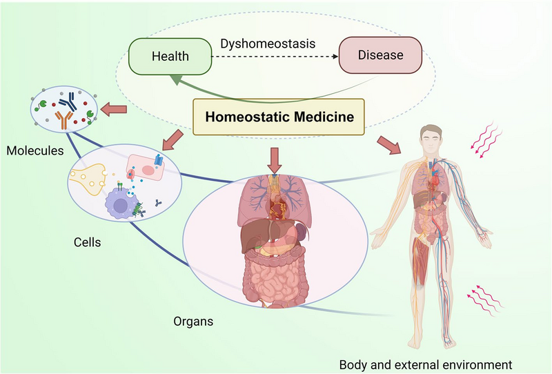 Human body is composed of a variety of parts each working separately, but also working together. Links between health and disease are shown in diagrams of molecules, cells, organs and the body external environment. At the centre of these diagrams is a text box with the words Homeostatic Medicine.