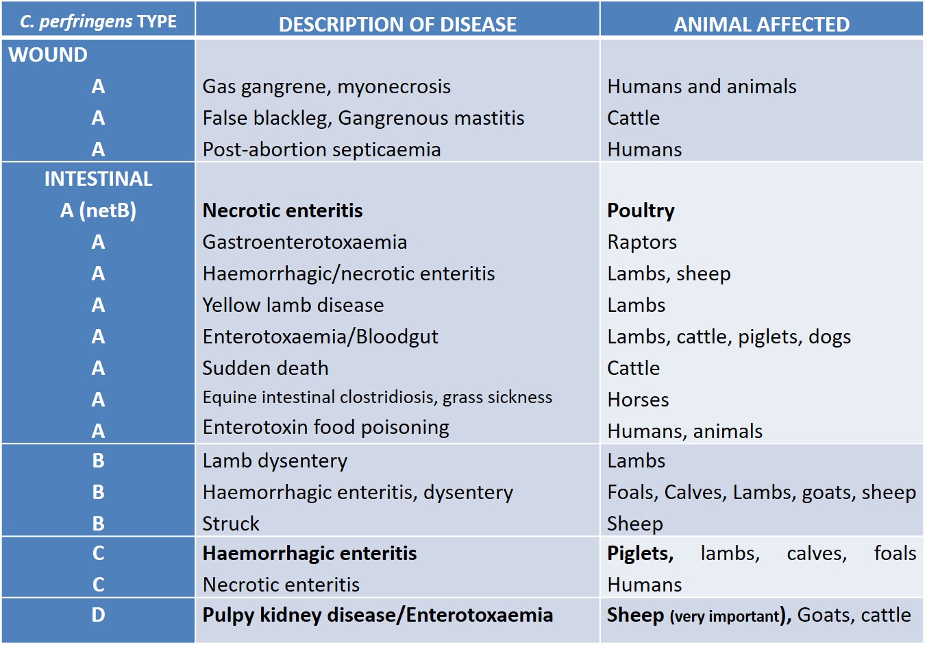 Diseases in animals caused by the different toxin types of Clostridium perfringens