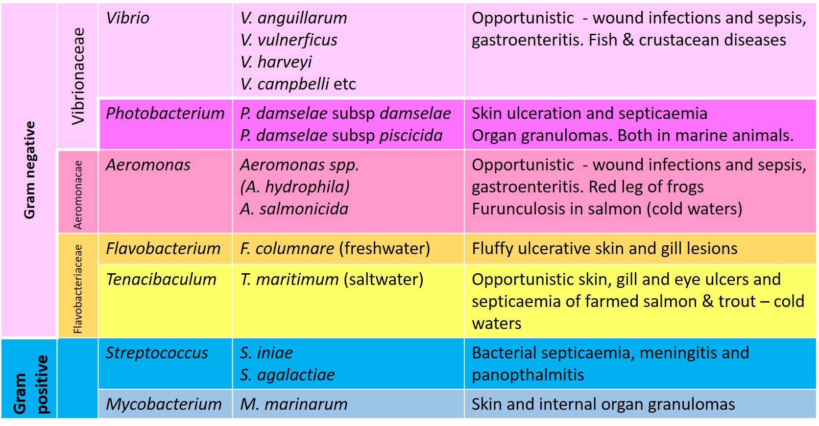 Important bacterial diseases of aquatic animals in Australia