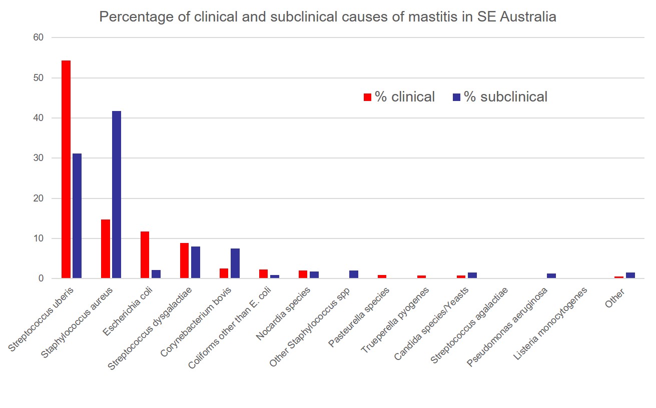 Causes of mastitis SE Australia