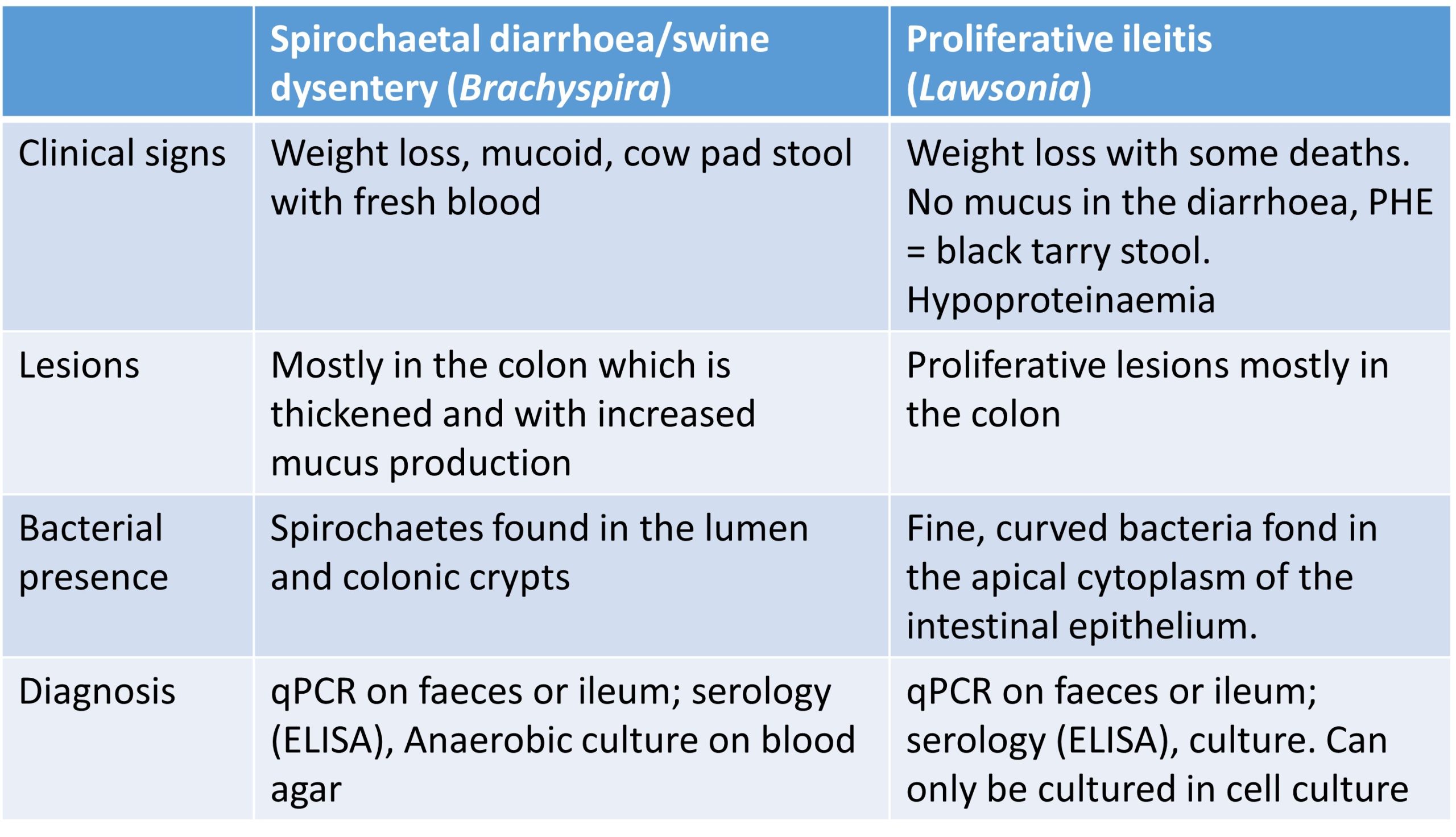 Table comparing the diagnosis of chronic diarrhoea in pigs caused by Brachyspira hyodysenteriae and anaerobic spirochaete, Lawsonia intracelluaris, an intracellular curved bacterium