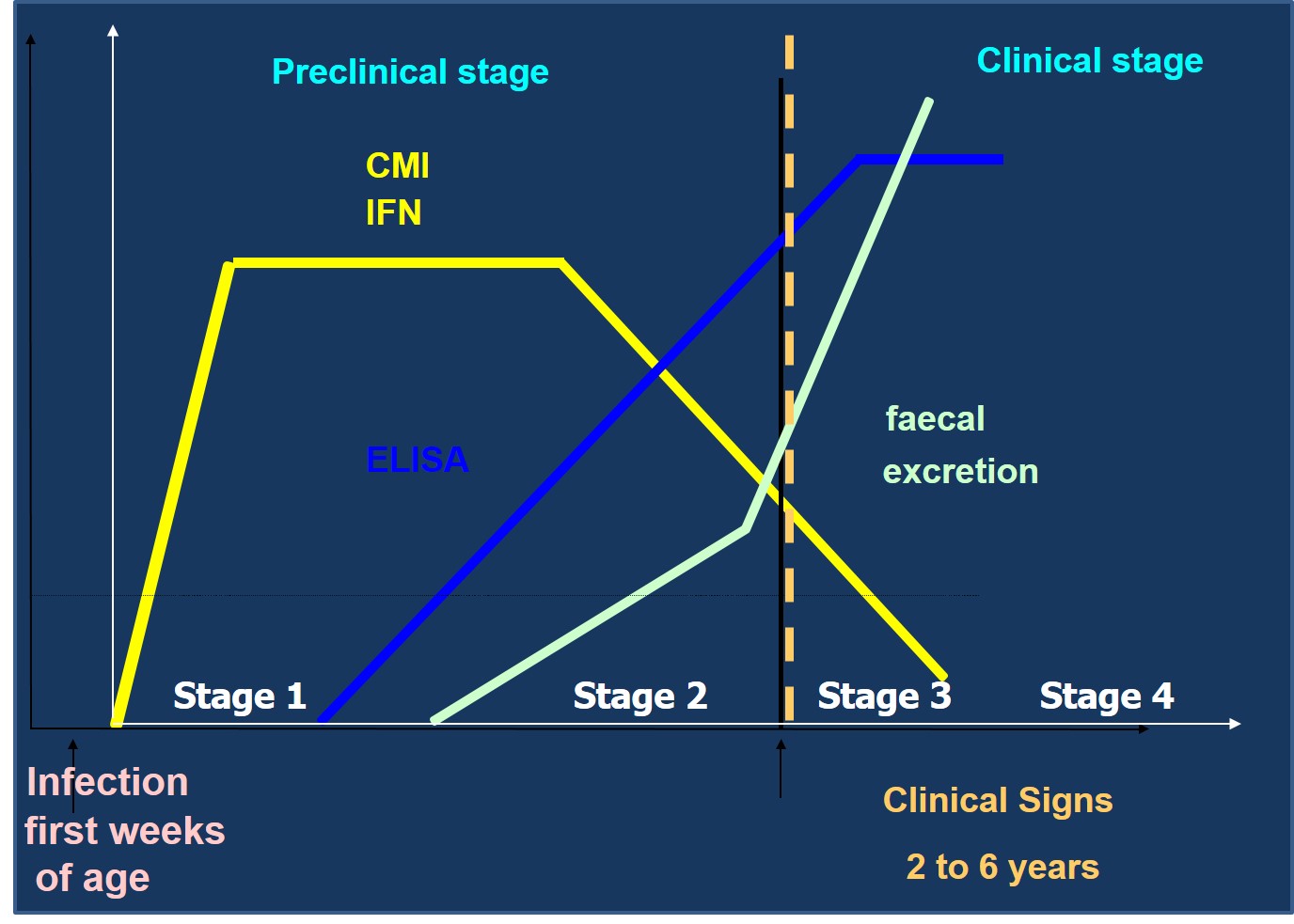 Graph showing the stage of infection diagnostic tests are able to detect Mptb or an immune response to Mptb.