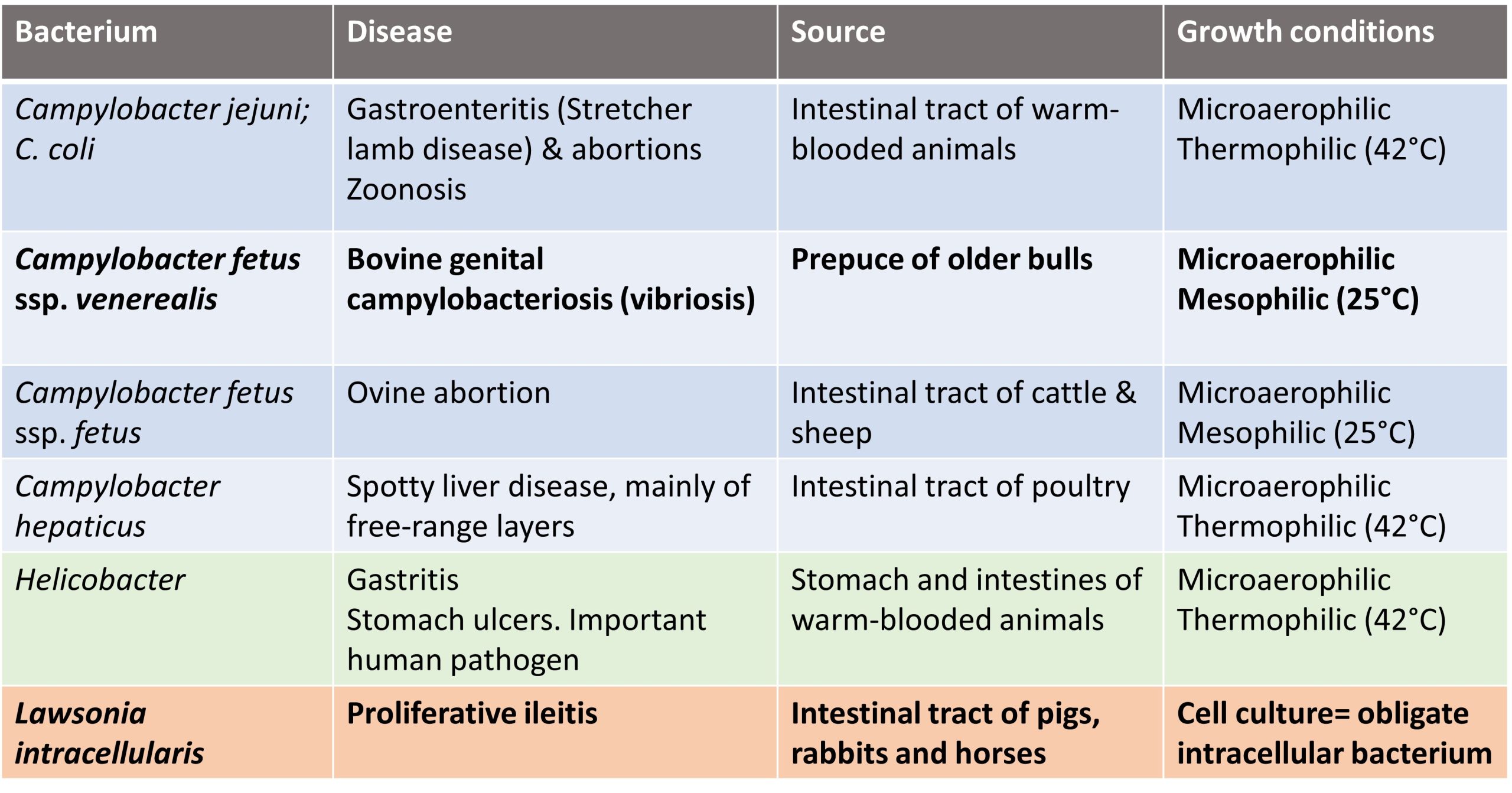 Diseases in animals caused by the Genera Campylobacter, Helicobacter, Arcobacter and Lawsonia