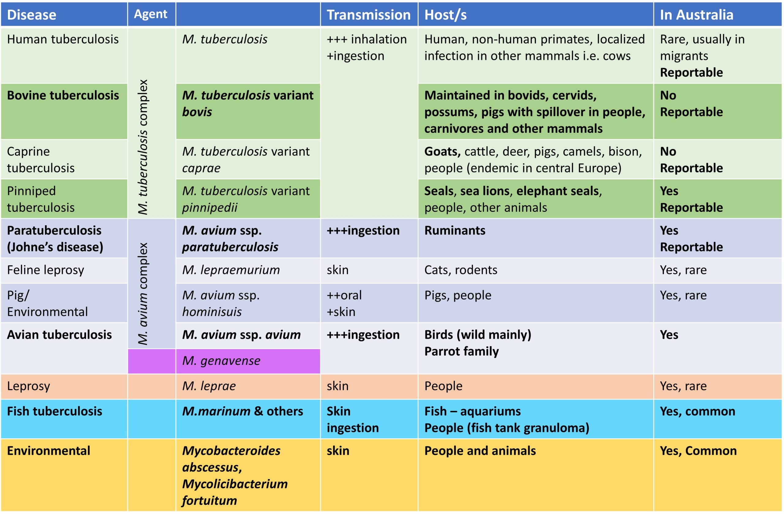 Diseases caused by Mycobacterium species in animals