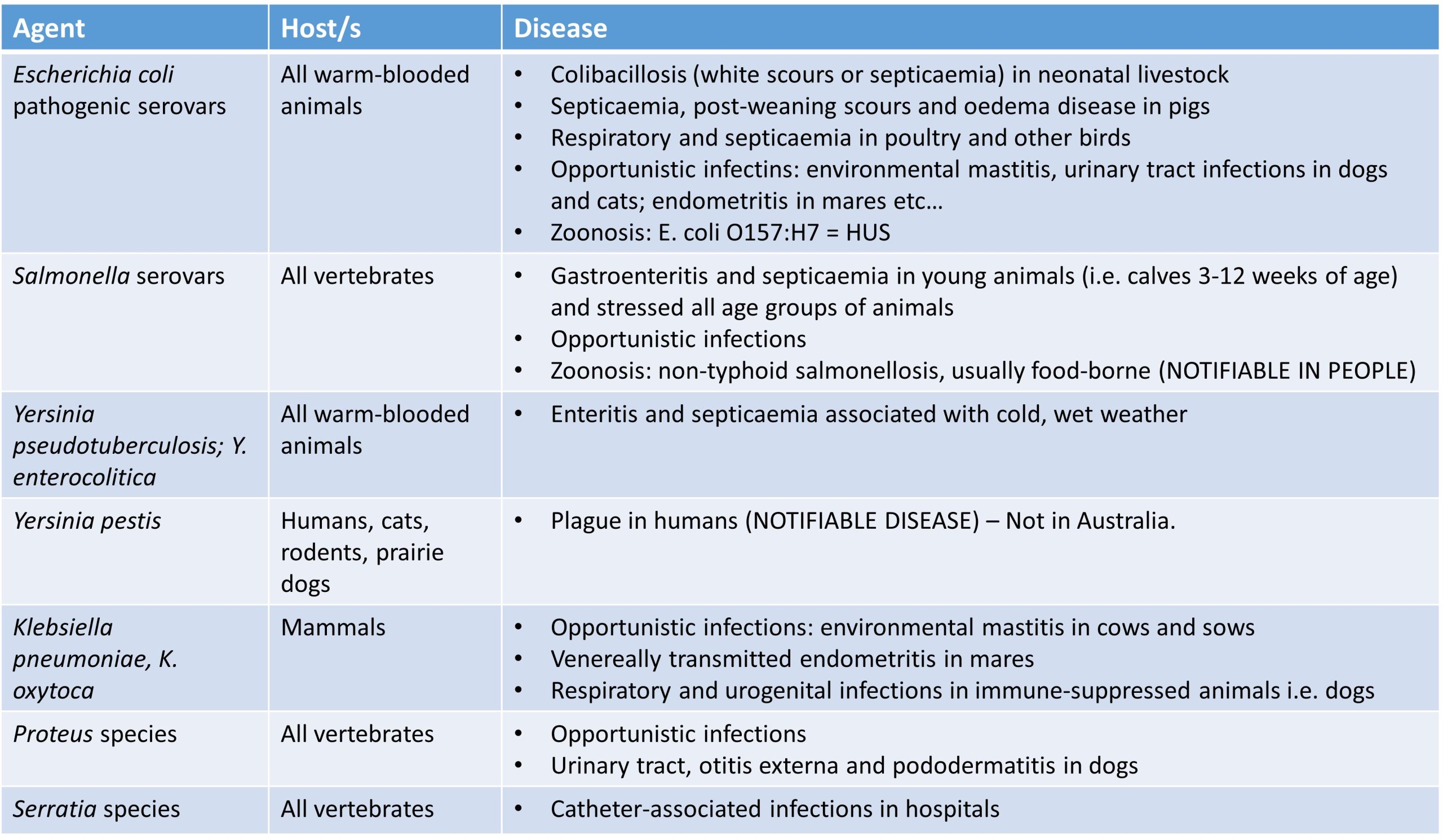 A summary of diseases in animals caused by the Enterobacteriales