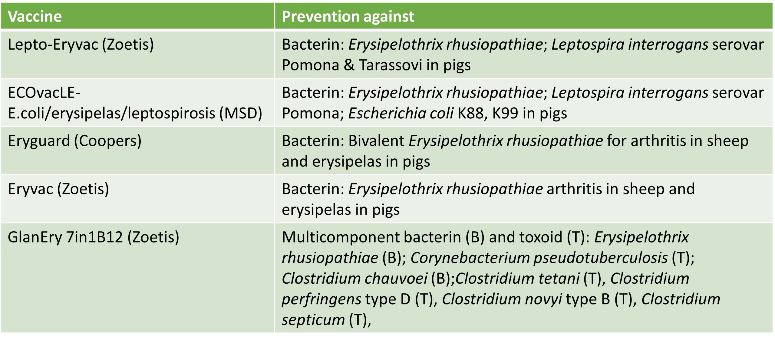 Commercial vaccines in Australia against Erysipelas