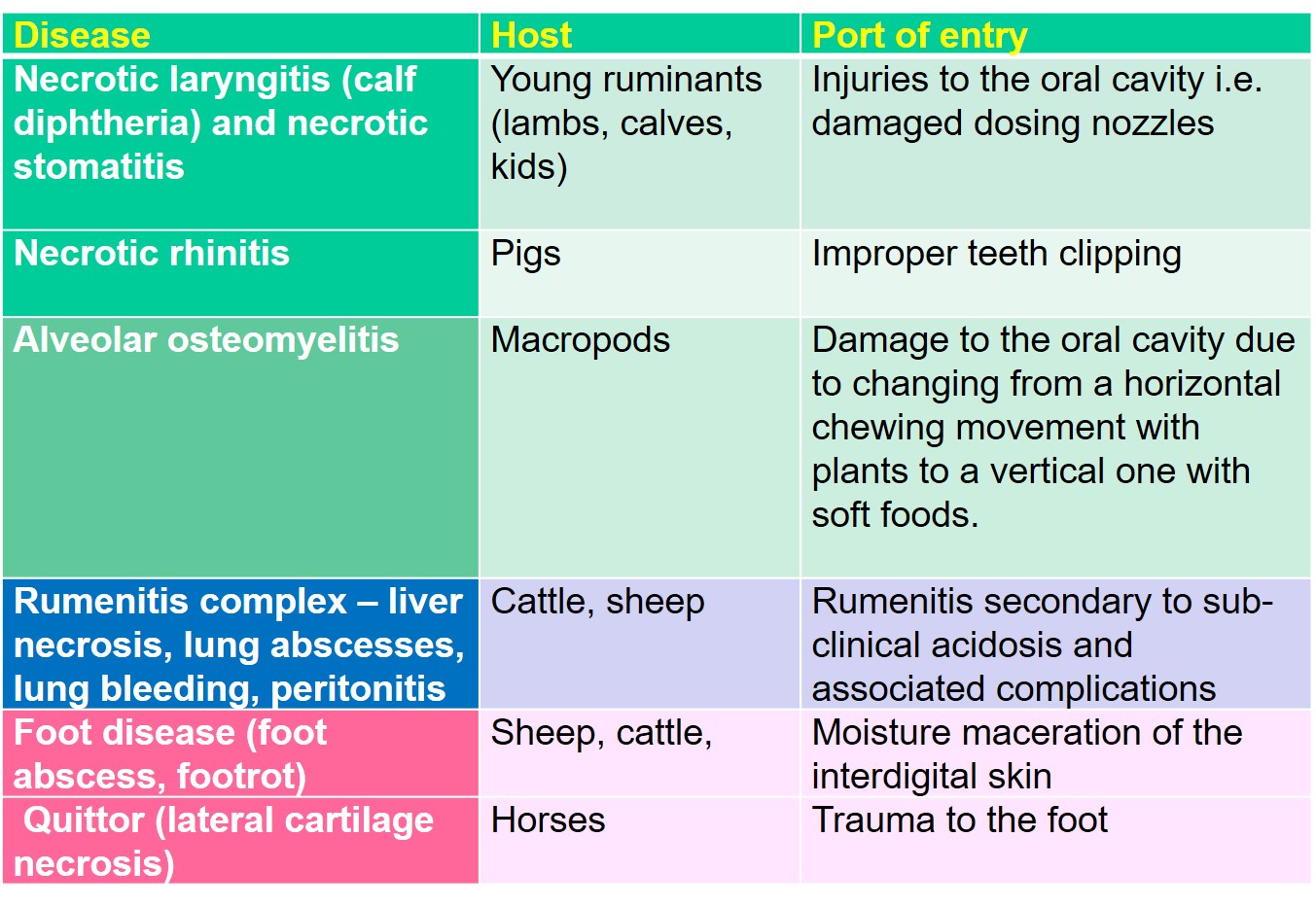 Diseases in animals caused by Fusobacterium necrophorum