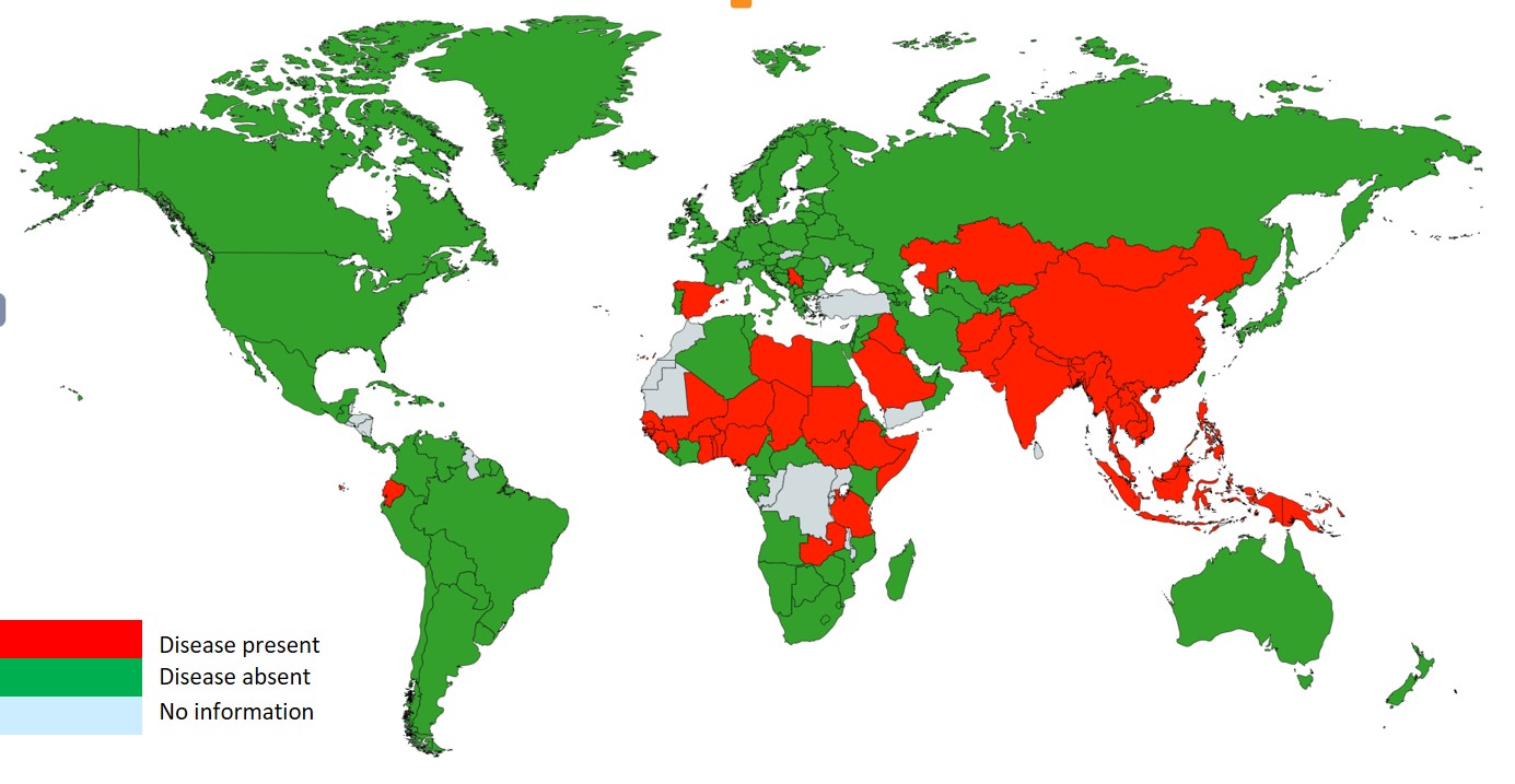 Global distribution of haemorrhagic septicaemia 2015 - 2019