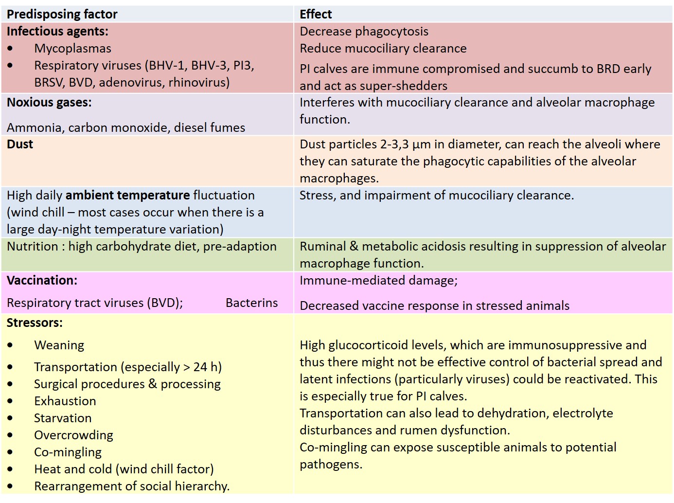 The effect that epidemiological factors and stress has on the immune system in young animals