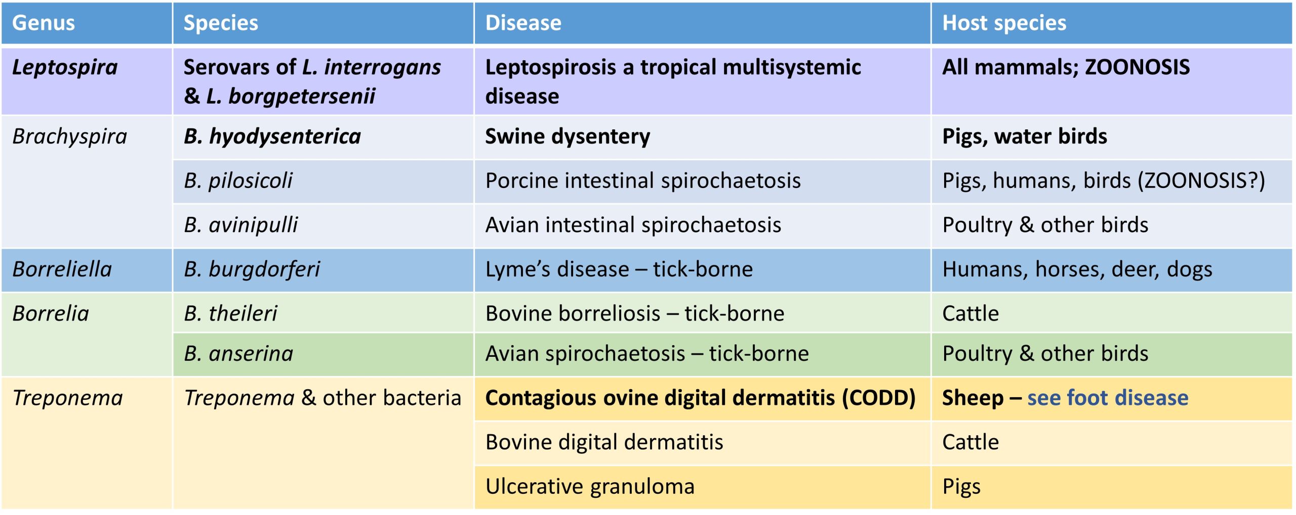 Diseases in animals caused by the spirochaetes. Those is bold are the more common diseases.