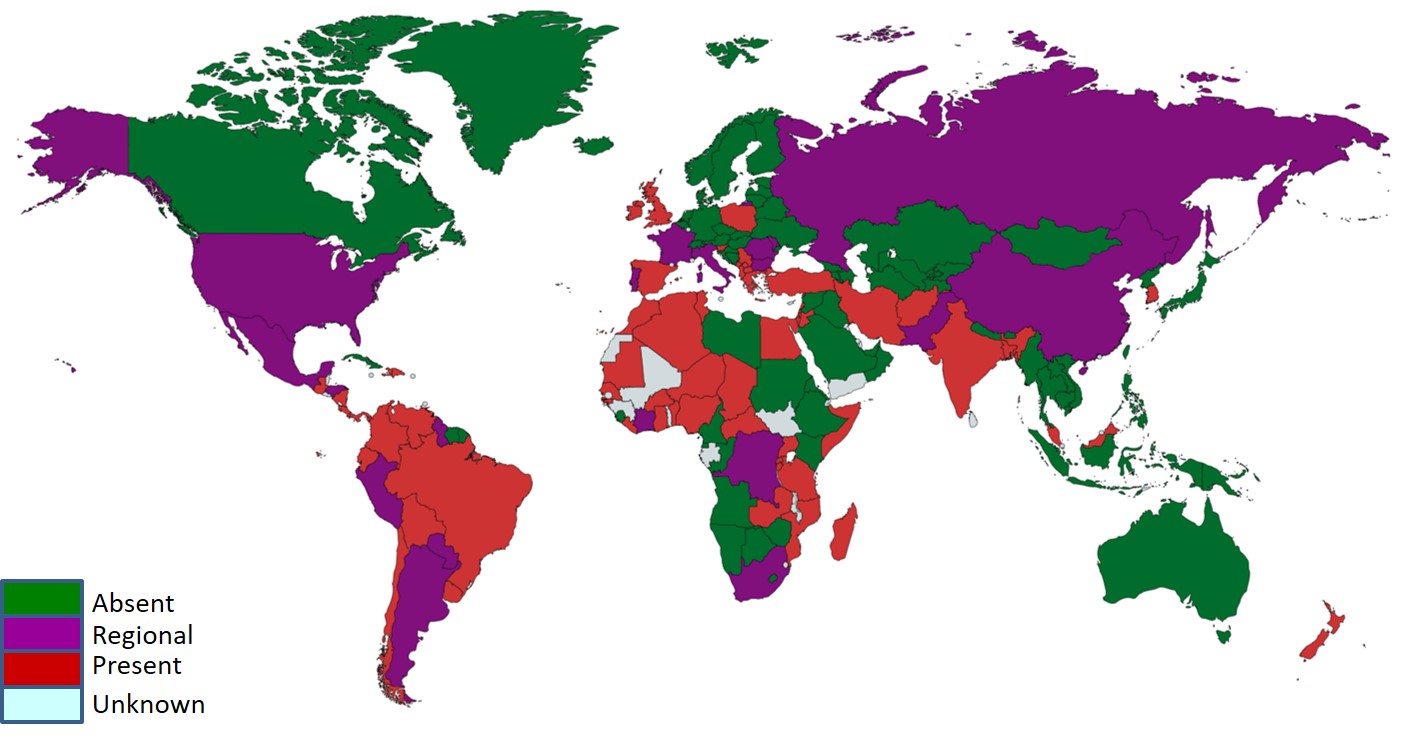 Global status of bovine tuberculosis using data collected by the WOAH