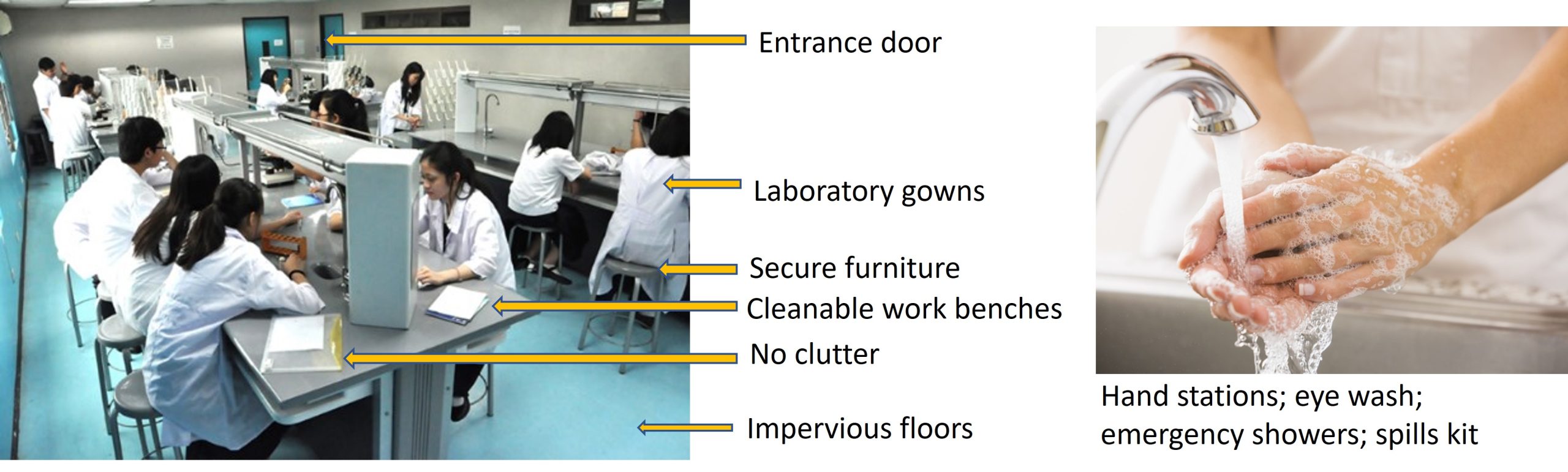 BSL-1 laboratory structural requirements