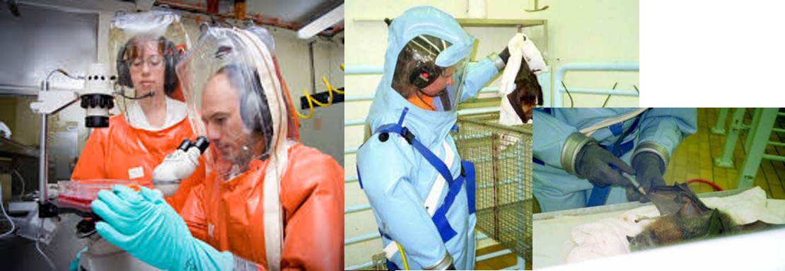 People working in a BSL-4 laboratory using fully sealed, full body suits that have their own air supply.