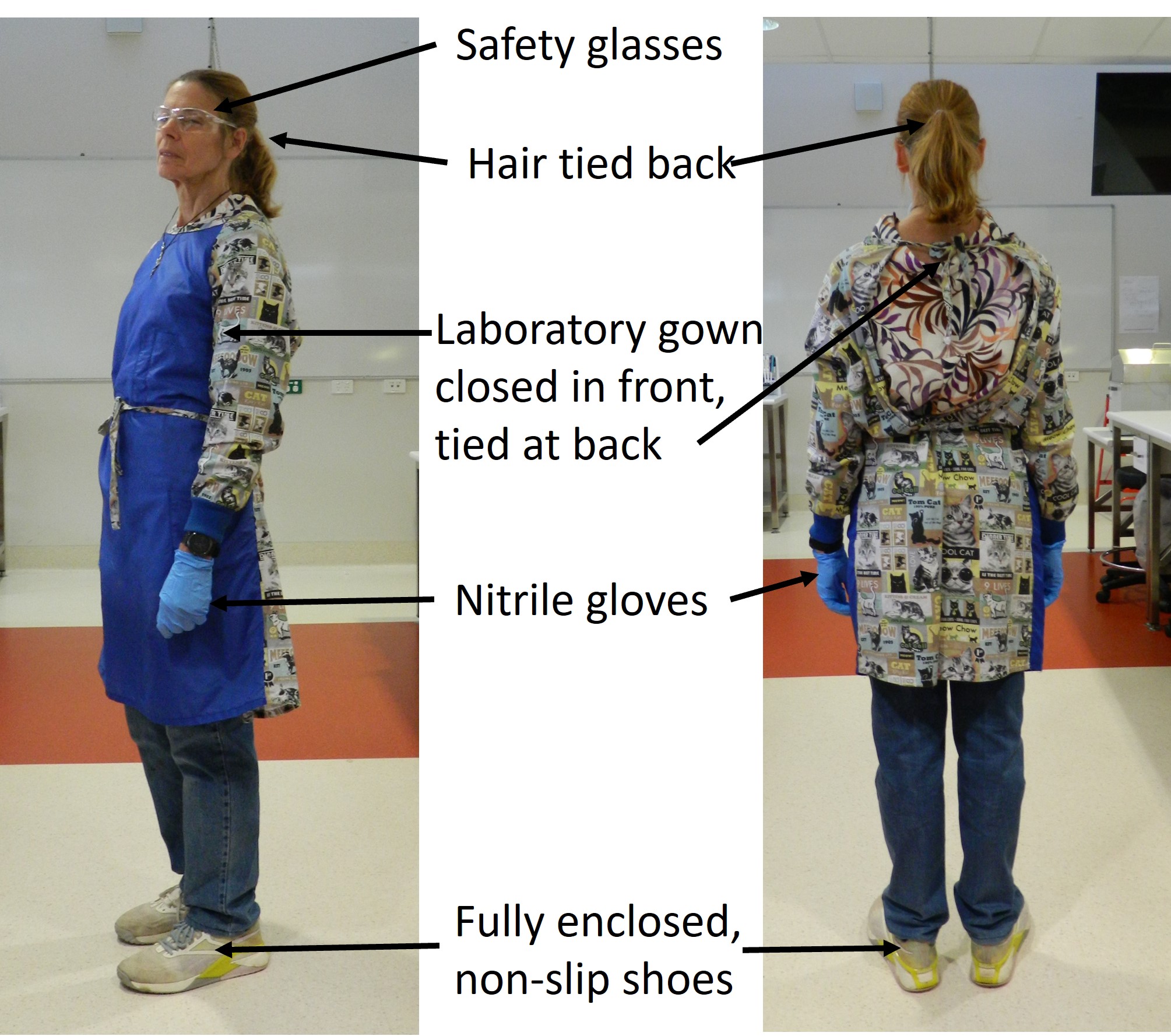 Two images of a woman in a laboratory. The first Image shows a woman standing side on and the second shows the woman from the back. Arrows are pointing to PPE. Arrows point to the safety glasses, hair tied back, laboratory gown closed in front and tied at back, nitrile gloves and fully enclosed, non slip shoes.