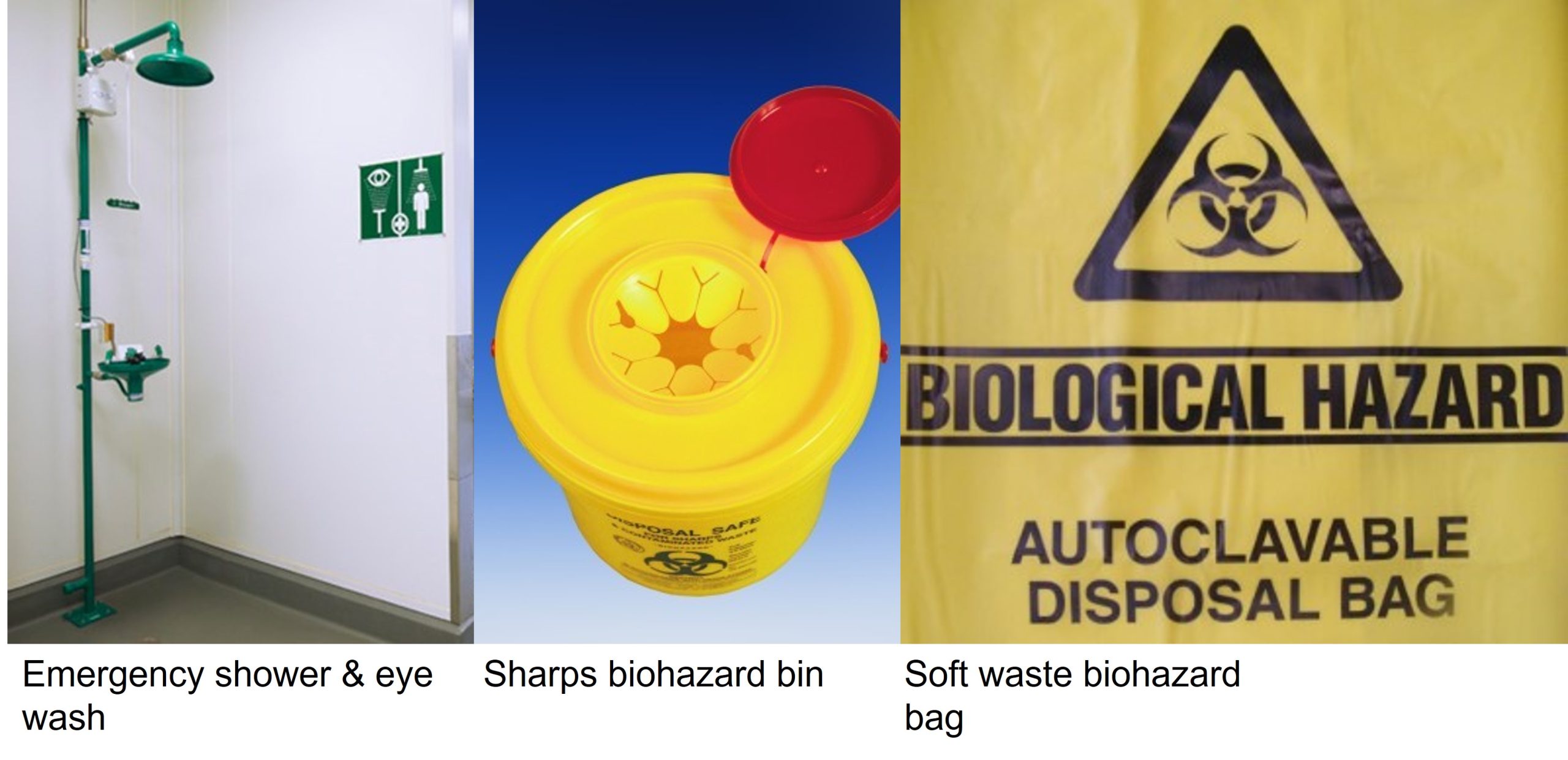 Examples of safety equipment you will use in a microbiology laboratory: emergency show and eye wash; sharps biohazard bin; soft waste biohazard bag