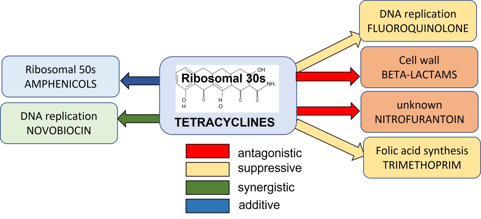 Tetracyclines and their Use in Animals Bacterial and Fungal Diseases
