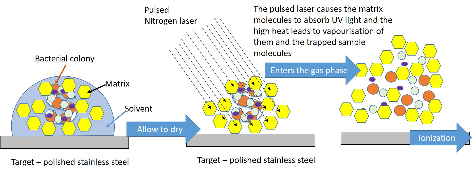 The principle of the MALDITOF. A test that is able to size macromolecules such as proteins by ionizing but not fragmenting them. PART 1. An ionised matrix traps the sample macromolecules and resultant matrix is vapourised.