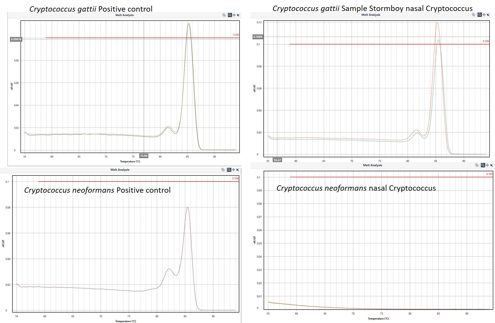 A qPCR where a target gene was amplified and the the temperature at which the amplicon denatured plotted on a curve known as a melting point curve (MPC). This is then compared to the MPC of positive controls.