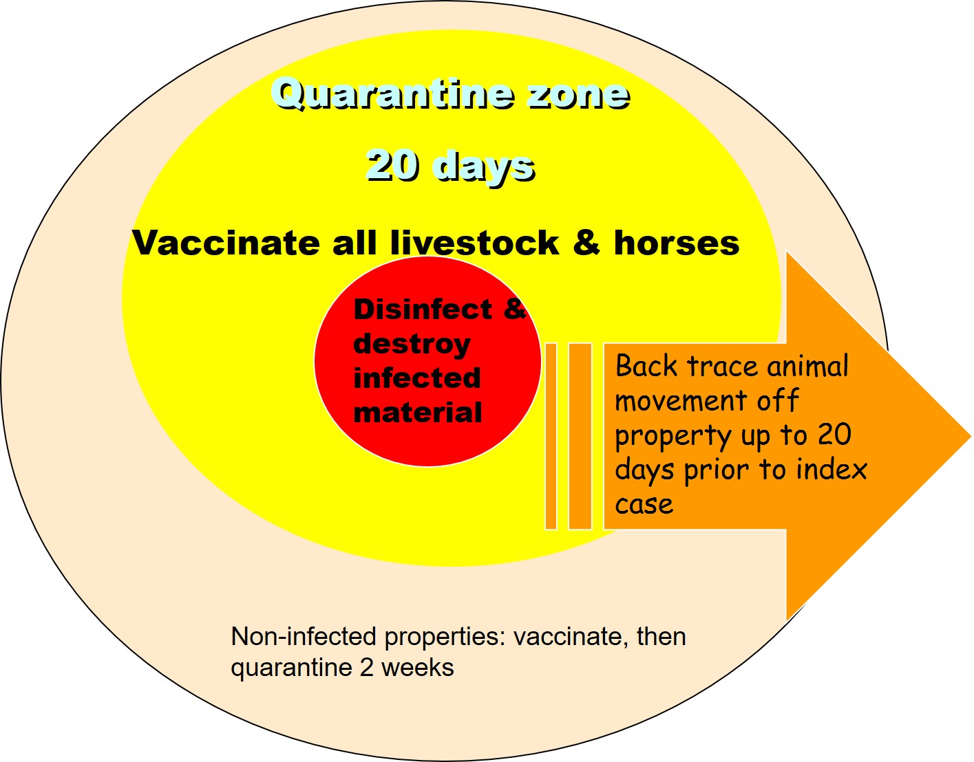 Diagram showing how an outbreak of anthrax in livestock is managed