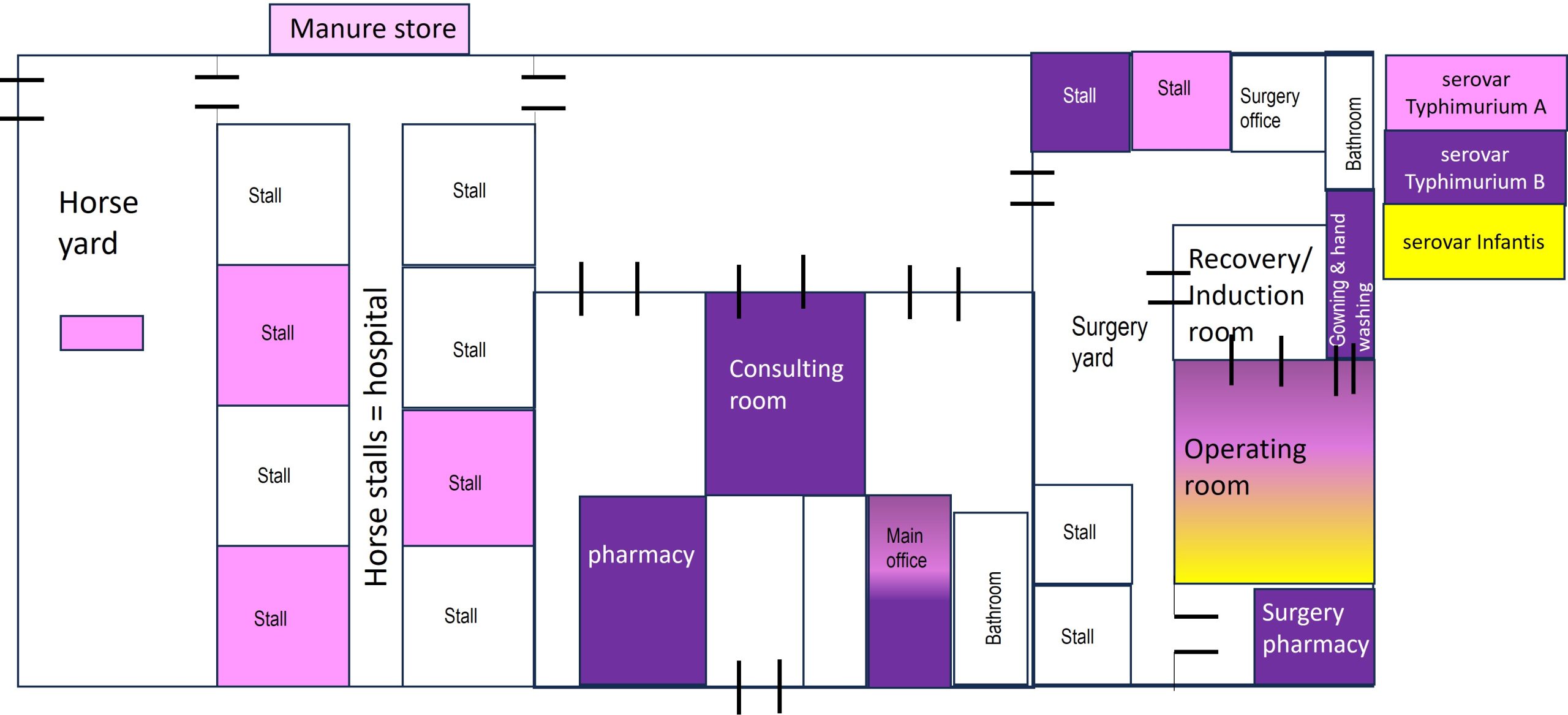 Sites where Salmonella serovars were detected in an equine teaching hospital