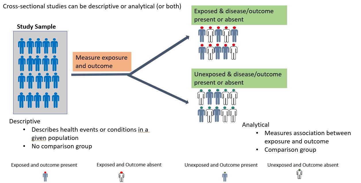3.2 Quantitative Research Designs An Introduction to Research Methods for Undergraduate Health