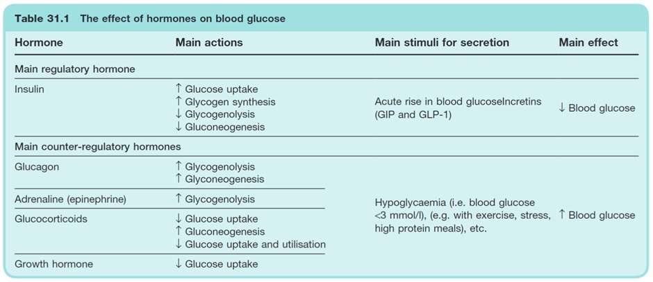 Source: The control of blood glucose and drug treatment of diabetes mellitus. In: Rang et al. Rang and Dale’s Pharmacology. 8th Ed. Elsevier; 2016.