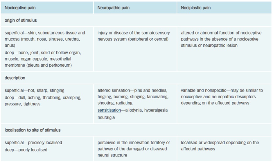 Types of pain