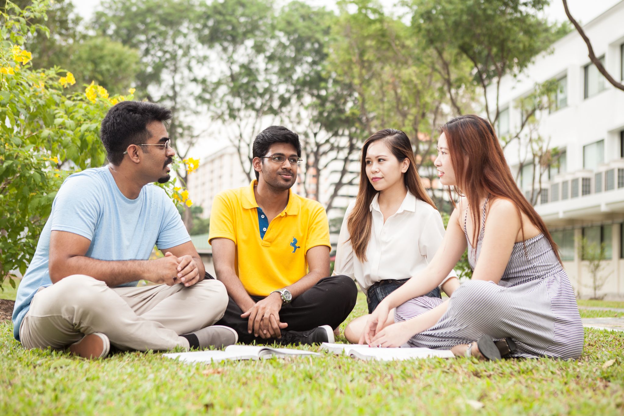 four students sit chatting on the grass